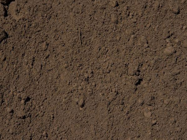 From the Ground Up: Starting Your Own Topsoil Screening Business
